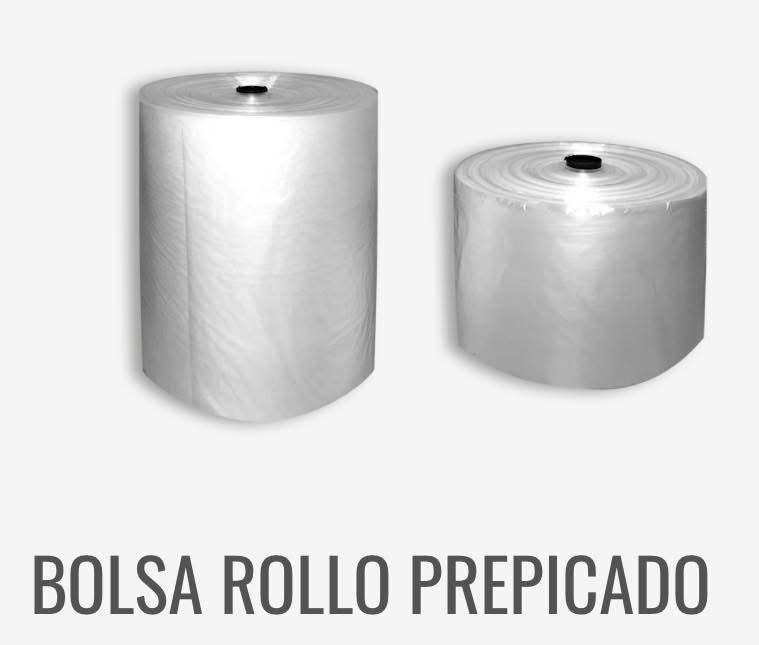 Bolsa Transparente
